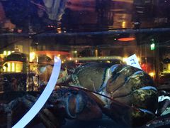 -Burger & Lobster(Dean Street)