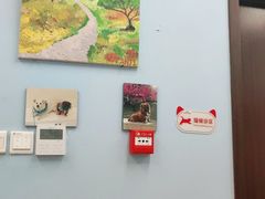 -瑞派·关忠动物医院·异宠专科·犬猫肿瘤·皮肤专科(望京店)