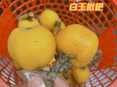 -东山风景区(洞庭东山)
