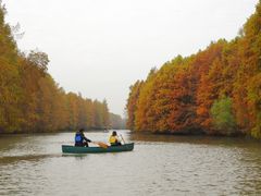 -上海海湾国家森林公园
