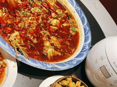 -新概念来凤鱼(璧山店)