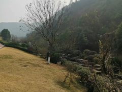 -桃花岭景区