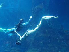 -威海华夏城景区