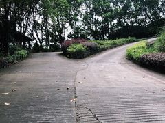 -谷丰健康凤贤居酒家