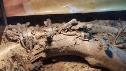 -酷嗒动物文化乐园(cutezoo西溪乐天城店)