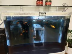 -云镜眼镜加工中心(南环路店)