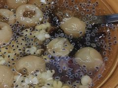 五加-糖潮糖水铺(省府店)