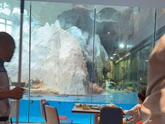 -帝企鹅自助餐厅•儿童岛•真企鹅(长隆企鹅酒店)