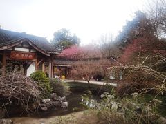 -山外山菜馆(玉泉路店)