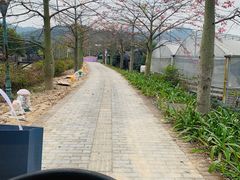 -红山村