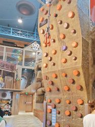 -卡通尼·Safari非洲探索乐园·生日会(金桥国际商业广场店)