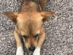 -九曲溪竹筏码头