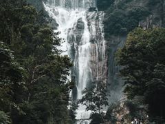 -天台山景区