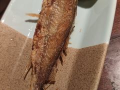香煎小黄鱼-外婆家(南开大悦城店)