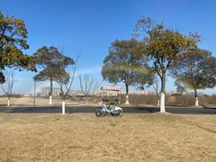 -漕湖湿地公园