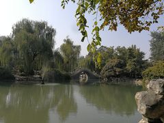 -西苑公园