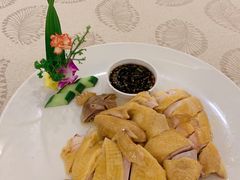 家养本地奄鸡-馨越楼·点心·粤菜(赤坎店)