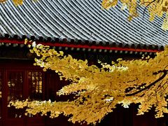-红螺寺