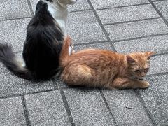 -晓港公园