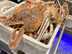 -初色海鲜自助(万丰路店)