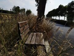 -嘉北郊野公园