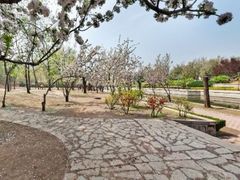 -元大都城垣遗址公园