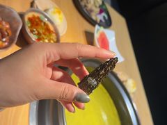 -一朵菌·野生菌探索家火锅(南亚店)