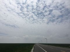 -哈素海