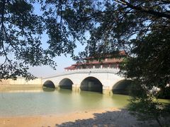 -大湾区中央湿地公园