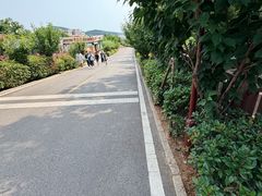-崂山仰口游览区