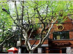 boxing&nbsp;cat-Boxing Cat Brewery拳击猫精酿啤酒馆(永福店)