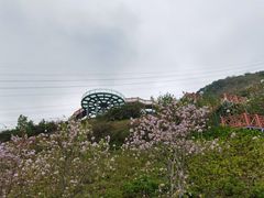-小南山公园