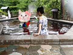 -清远熹乐谷温泉度假酒店