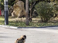 -北京鲁迅博物馆(北京新文化运动纪念馆鲁博馆区)