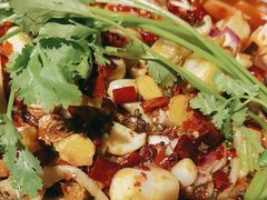 -重庆火锅水库鱼庄(南油店)