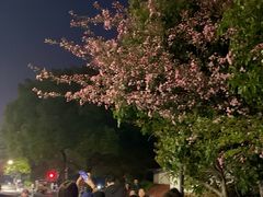 -闸弄口(地铁站)