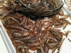 -大连熟食品交易中心