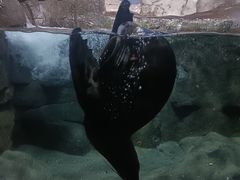 -南昌海洋公园