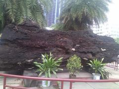 -海口骑楼小吃街