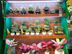 -扶光书店(中环店)