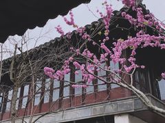 -留园