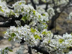 -梁鸿国家湿地公园