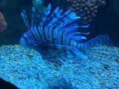 -左海海底世界