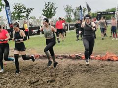 -春花秋色城市公园