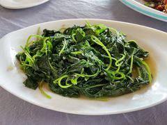 -稻香村鱼庄