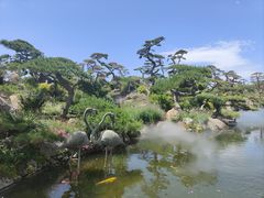 -罗红摄影艺术馆