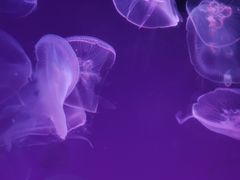 -沈阳海洋探索中心