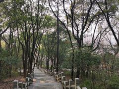 -灵岩山风景区