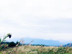 -山王坪喀斯特国家生态公园