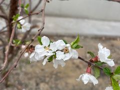 -哈尔滨商业大学(南校区)